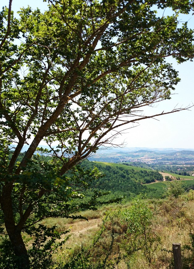 11-Limoux-Paysage