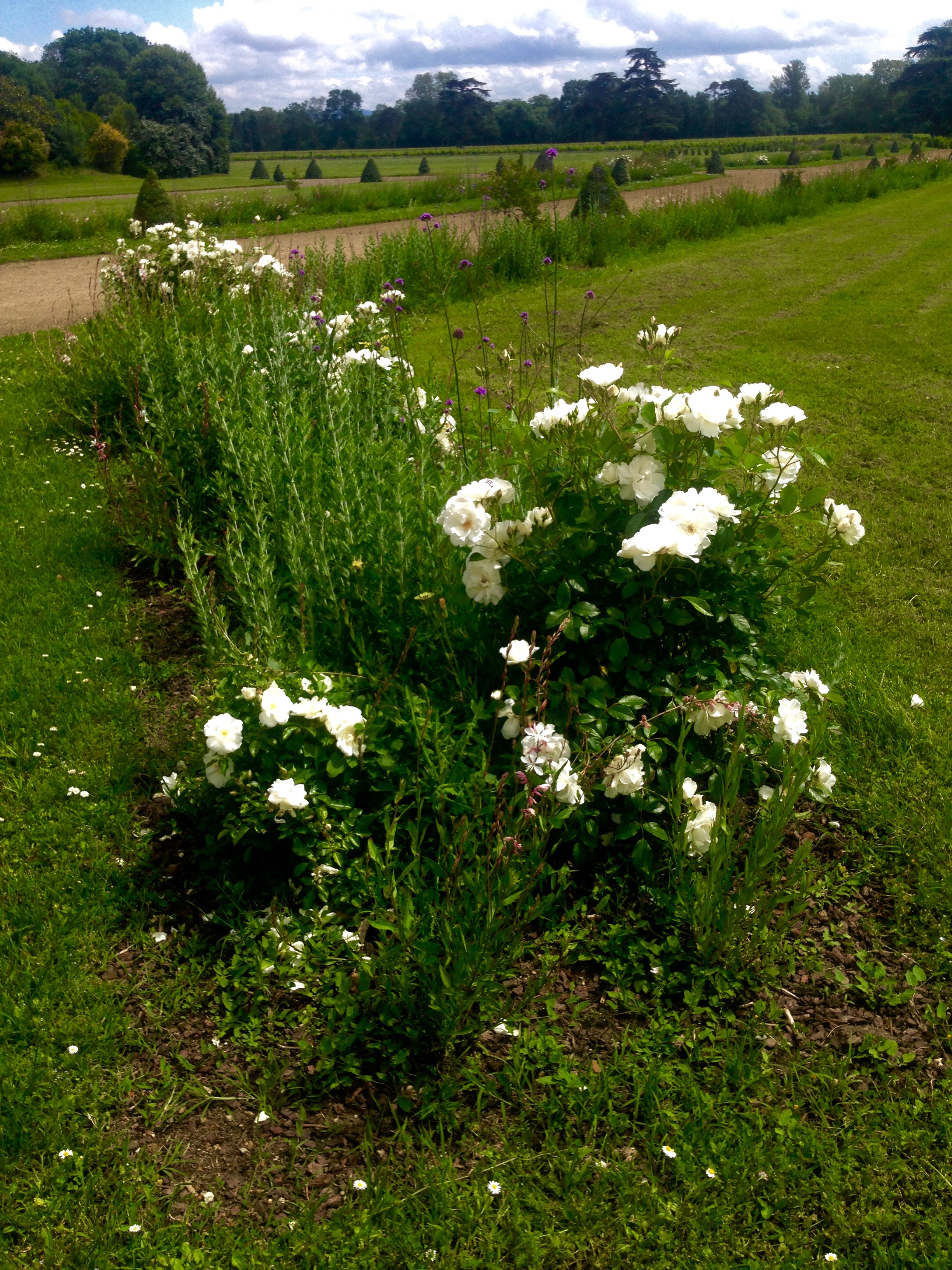 Jardin Chateau de Pennautier