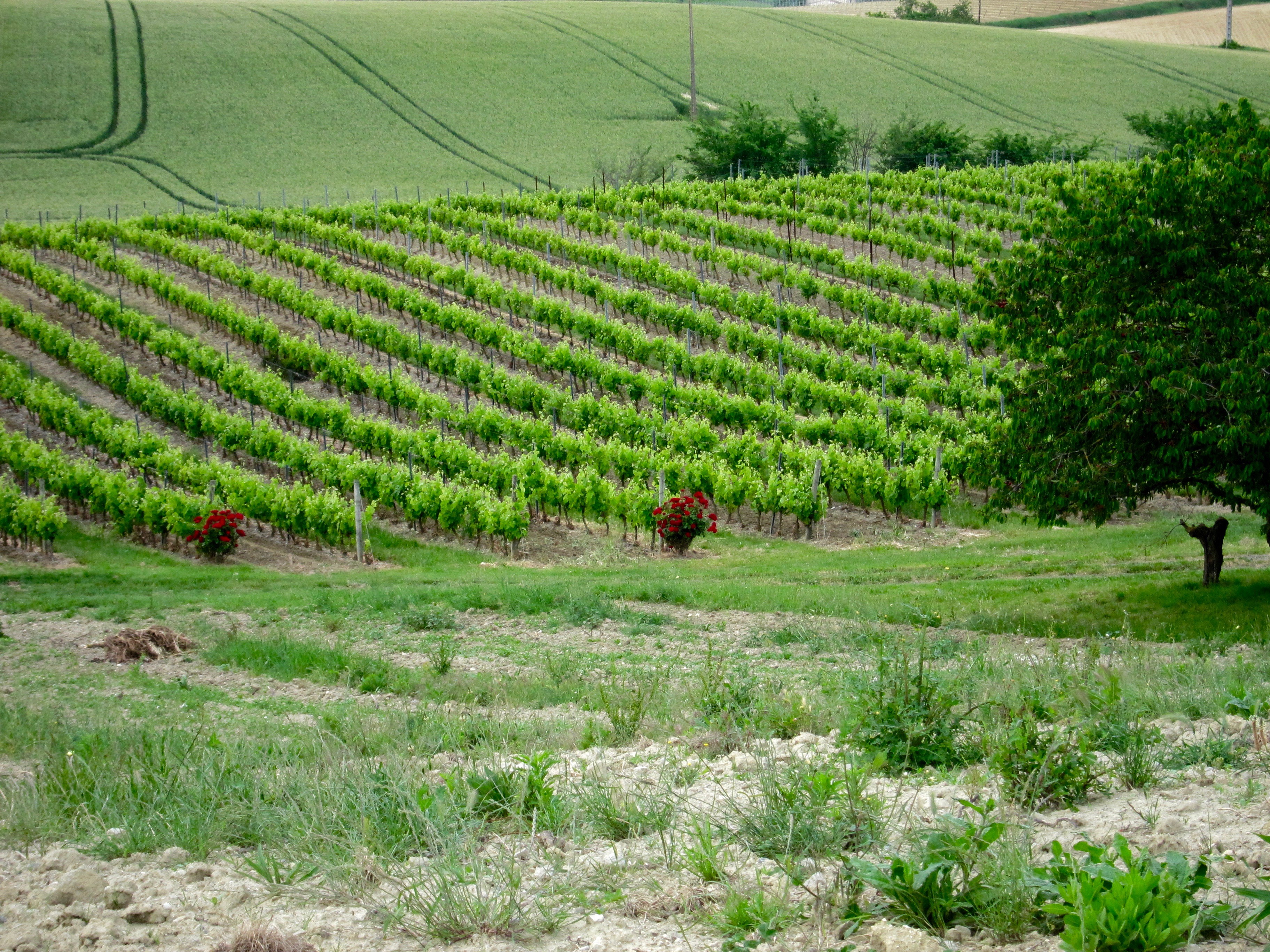 Domaine de Cazaban