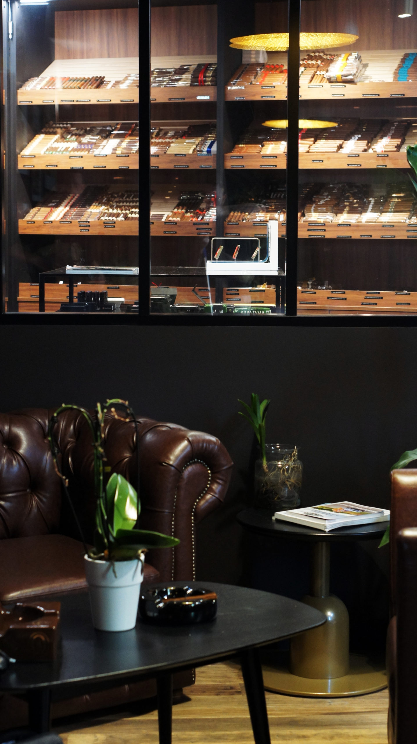 The C Spirits : Quand Bordeaux s'enivre d'innovation - Alambic Magazine